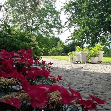 Country House Clos Des Hortensias Blegny Экстерьер фото
