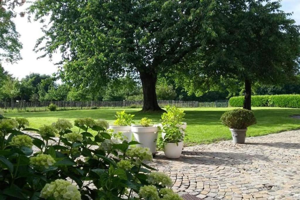 Country House Clos Des Hortensias Blegny Экстерьер фото